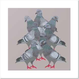 Pigeons Posters and Art